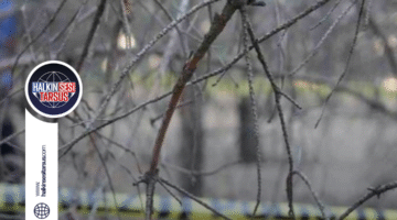 Ormanlık Alanda Gömülmüş Erkek Cesedi Bulundu