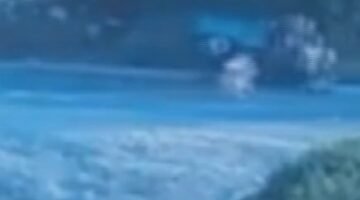 Mersin’de köpek saldırısı kazaya neden oldu: Kadın sürücü yaralandı