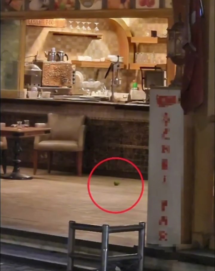 Pastaneye El Bombası Atan Şüpheli Yakalandı