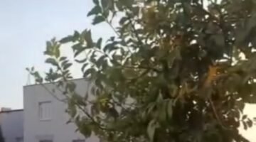 Tarsus’ta Doğalgaz Borusu Patladı: İtfaiyenin Hızlı Müdahalesi Felaketi Önledi