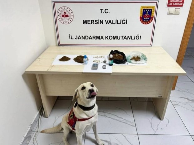 Mersin’de Uyuşturucu Operasyonu: 5 Şüpheli Tutuklandı