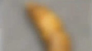 GÜRSEL TEKİN’İN MAKAM ODASINA SALDIRI