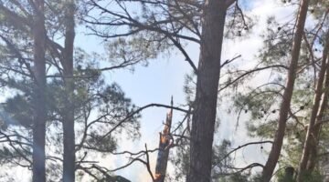 Yıldırımın Çıkarıldığı Yangınlar Bozyazı’da Büyümeden Söndürüldü