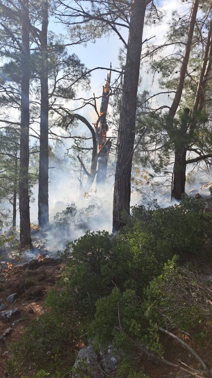 Yıldırımın Çıkarıldığı Yangınlar Bozyazı’da Büyümeden Söndürüldü