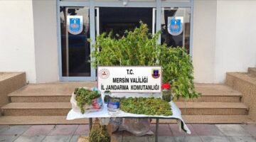 Mersin’de uyuşturucu operasyonu: 1 kişi tutuklandı