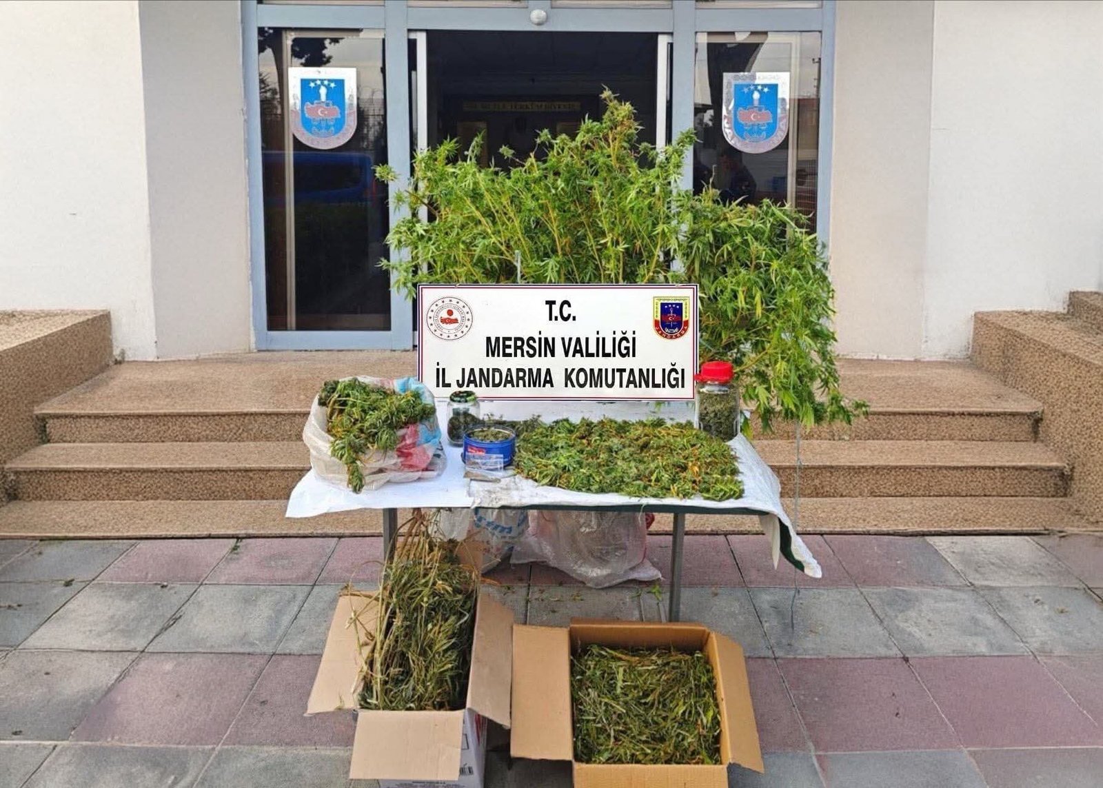 Mersin’de uyuşturucu operasyonu: 1 kişi tutuklandı