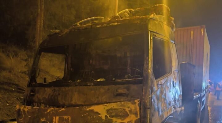 Mersin’de güneş paneli taşıyan tır alev aldı