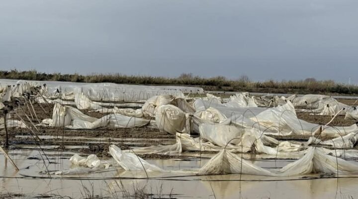 Tarsus’ta yağmur ve fırtına etkili oldu, seralar zarar gördü