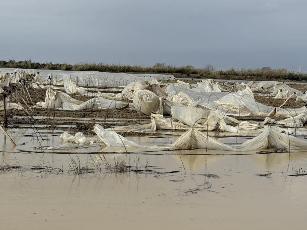 Tarsus’ta yağmur ve fırtına etkili oldu, seralar zarar gördü