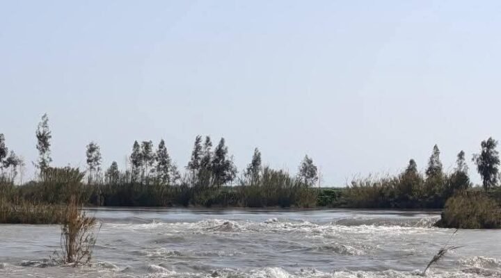 Tarsus’ta tarım arazileri sular altında kaldı