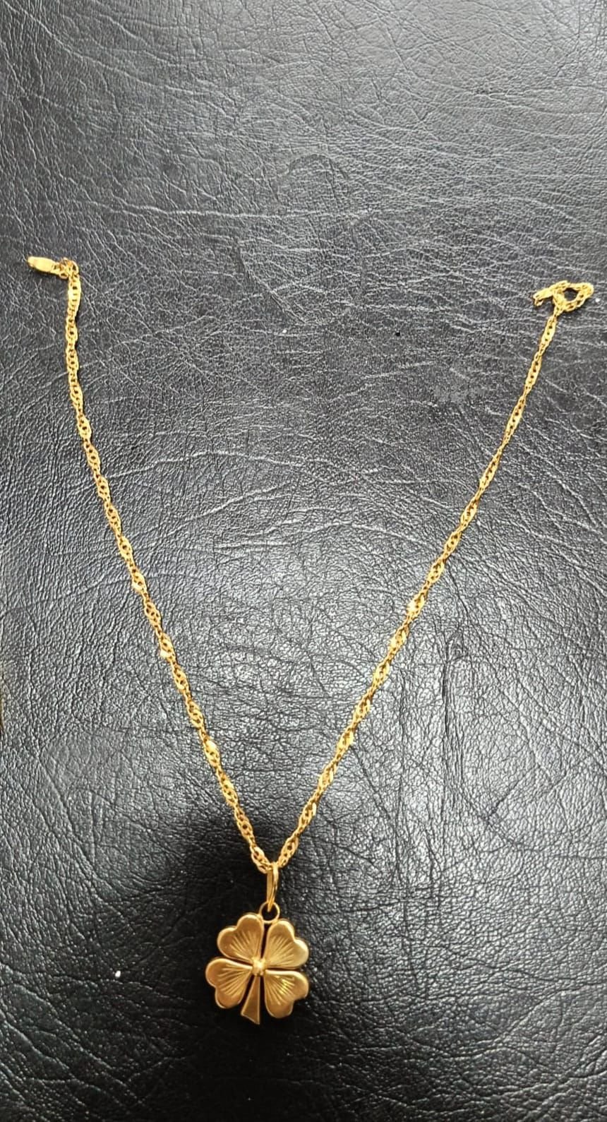 ALTINI KAPTI, KAÇAMADI