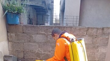 BÜYÜKŞEHİR EKİPLERİ, ZARARLILARLA MÜCADELE ÇALIŞMALARINA ARALIKSIZ DEVAM EDİYOR